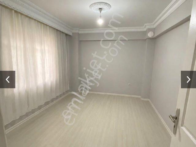 Kiralık 1+1