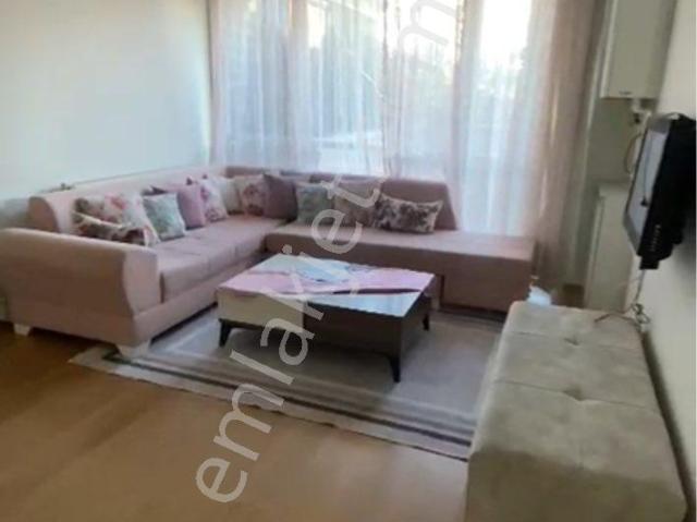 Kiralık 1+1