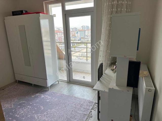 Kiralık 1+1