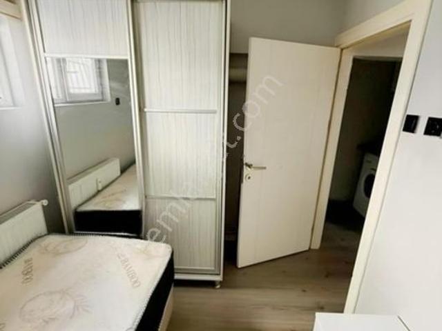 Kiralık 1+1
