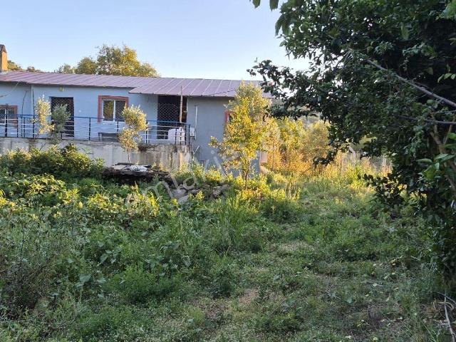 Kiralık 1.5 Dönüm Köy Evı