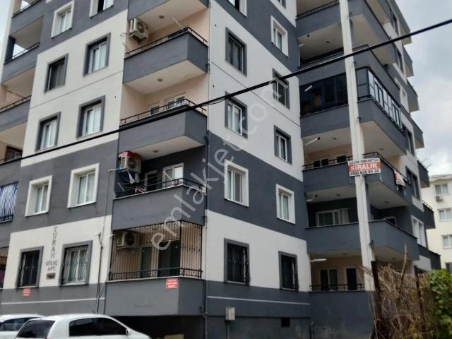 Kiralık 3+1