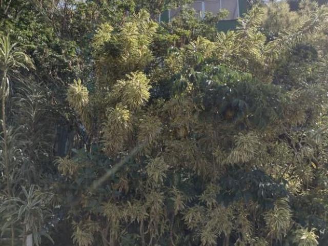 Kitnet Em Itaipu, Niterói/rj de 20 m² 1 Quartos Para Locação R$2.000,00/mes