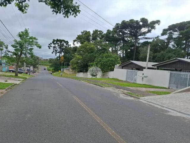 Kitnet / Stúdio para Locação em São José dos Pinhais/PR Miringuava 1 Quartos