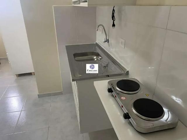 Kitnet / Stúdio para Locação em São Paulo/SP Rio Pequeno 1 Quartos