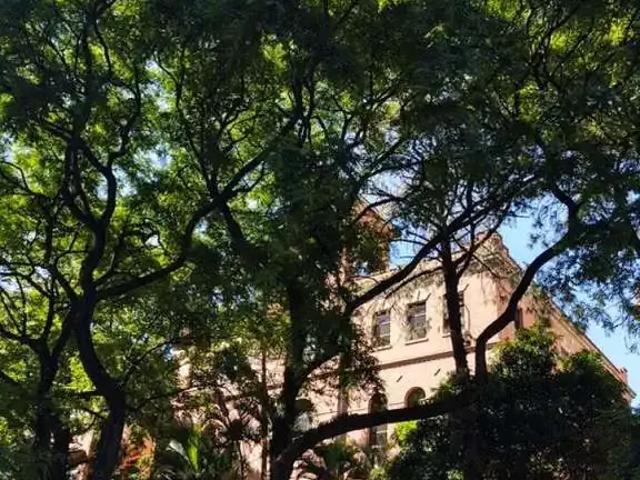 Kitnet / Stúdio para Locação em São Paulo/SP Vila Buarque 1 Quartos