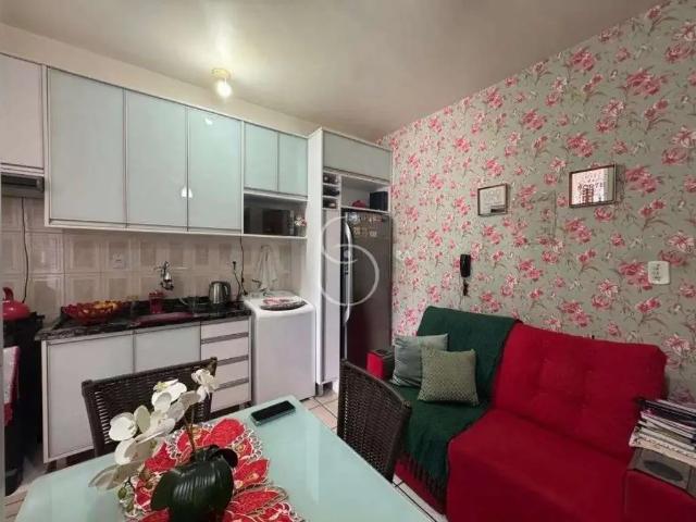 Kitnet / Stúdio para Venda em São Leopoldo/RS Centro 1 Quartos