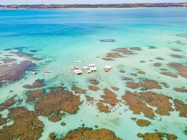 Kitnet / Stúdio para Venda em Tamandaré/PE Praia Dos Carneiros 1 Quartos