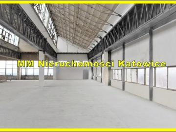 Czarna, Śródmieście, Tychy, Województwo śląskie