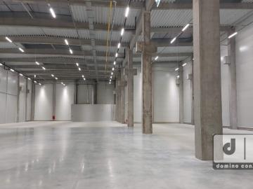 Zabrze, Województwo śląskie