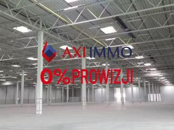 Zabrze, Województwo śląskie