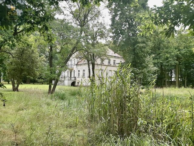 Komercyjne lokal na sprzedaż
