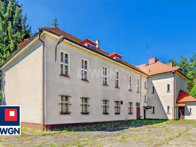 Komercyjne lokal na sprzedaż, Ceglana