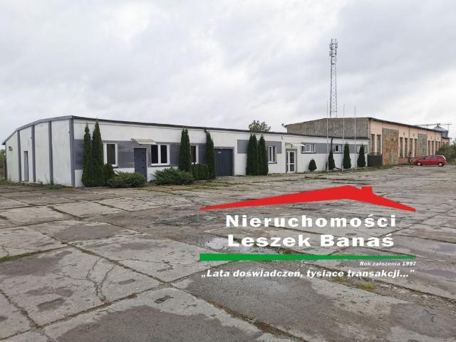 Komercyjne lokal na sprzedaż, Grudziądz