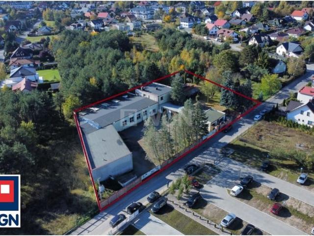 Komercyjne lokal na sprzedaż, Limbowa