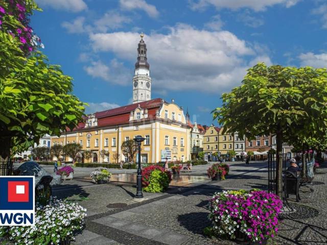 Komercyjne lokal na sprzedaż, Rynek