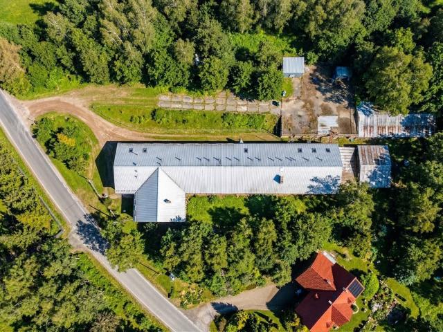 Komercyjne lokal na sprzedaż, Wytrzyszczek