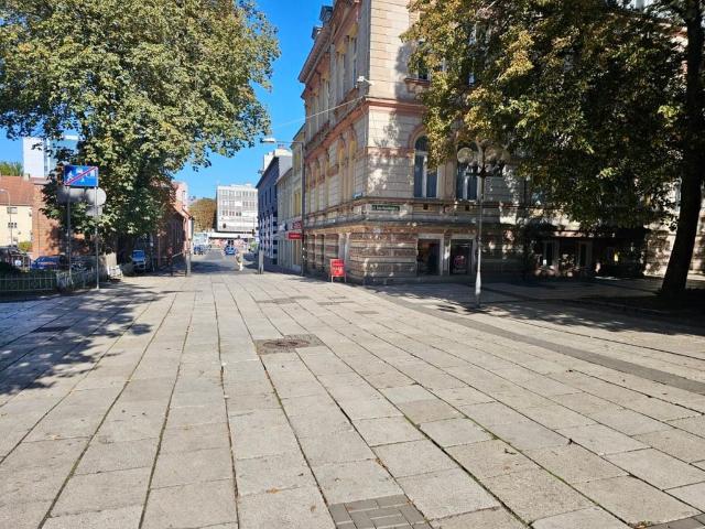 Komercyjne lokal na sprzedaż, Zielona Góra, Centrum