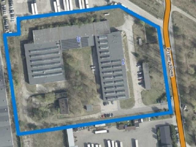 Komercyjne lokal na wynajem