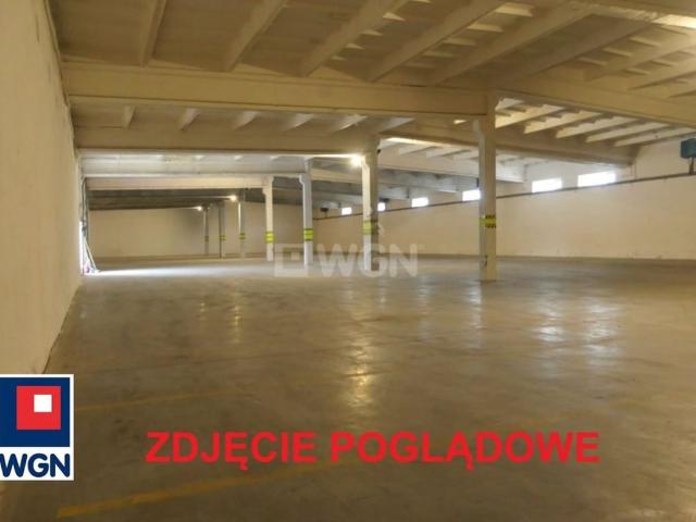 Komercyjne lokal na wynajem