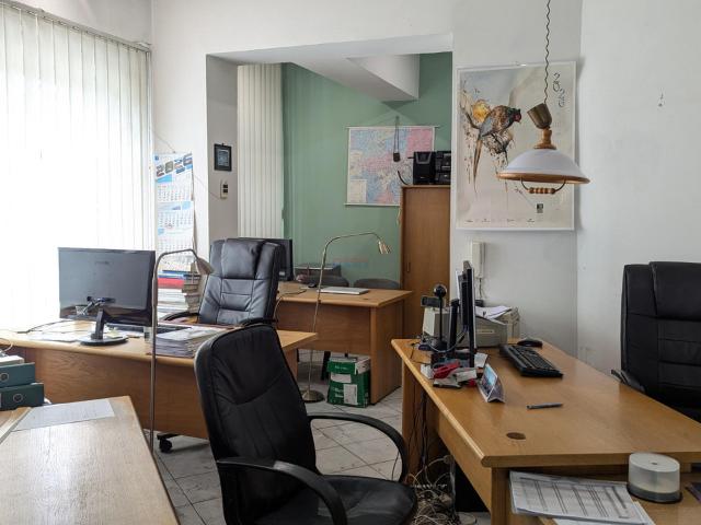 Komercyjne lokal na wynajem