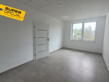 Komercyjne lokal na wynajem