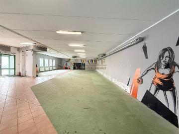 Komercyjne lokal na wynajem