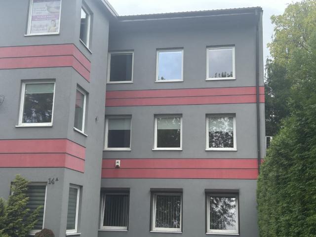 Komercyjne lokal na wynajem