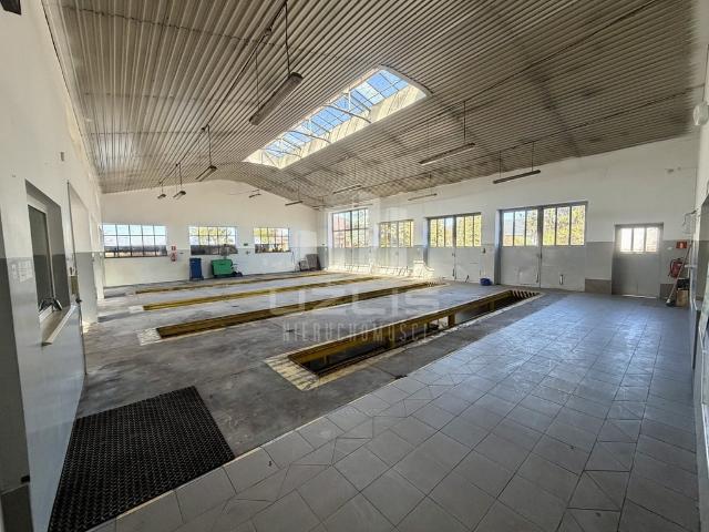 Komercyjne lokal na wynajem