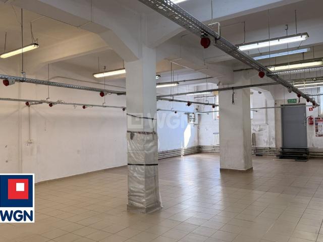 Komercyjne lokal na wynajem