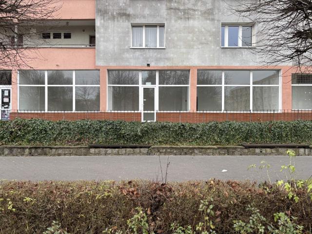 Komercyjne lokal na wynajem