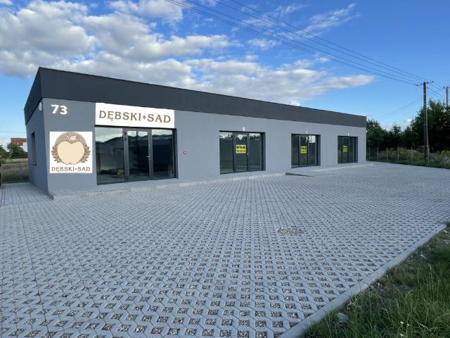 Komercyjne lokal na wynajem