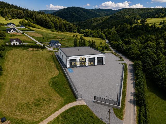 Komercyjne lokal na wynajem