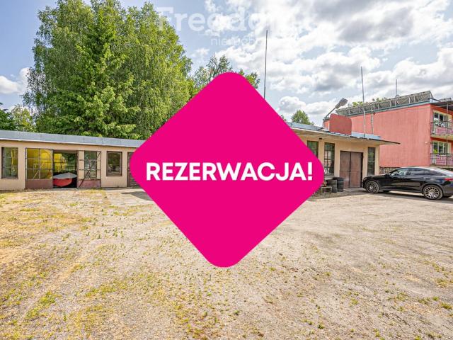 Komercyjne lokal na wynajem
