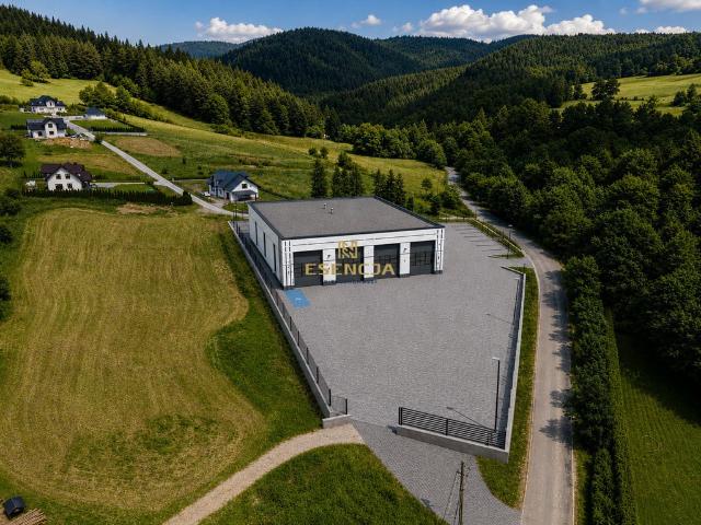 Komercyjne lokal na wynajem