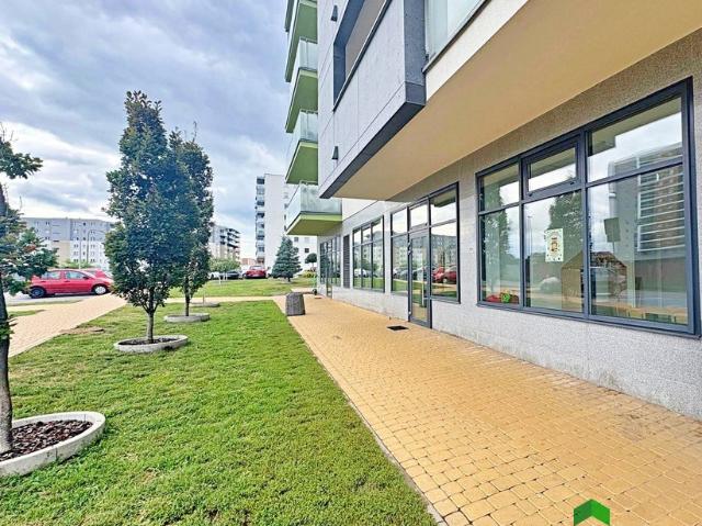 Komercyjne lokal na wynajem, Białystok, Łąkowa