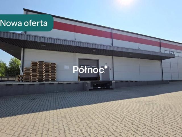 Komercyjne lokal na wynajem, Główna