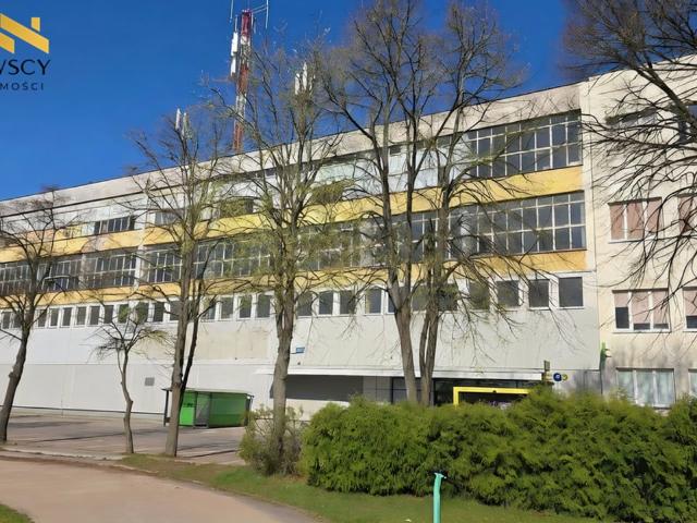 Komercyjne lokal na wynajem, Elbląg, Królewiecka