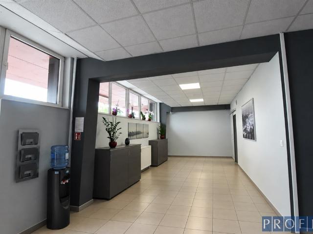 Komercyjne lokal na wynajem, Katowice, Brynów