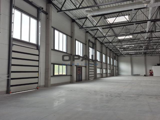 Komercyjne lokal na wynajem, Katowice, Obroki