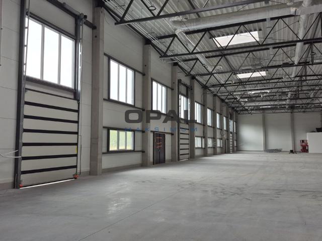 Komercyjne lokal na wynajem, Katowice, Obroki