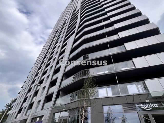 Komercyjne lokal na wynajem, Katowice, Śródmieście, Olimpijska