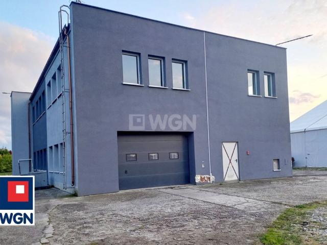 Komercyjne lokal na wynajem, Kasztanowa