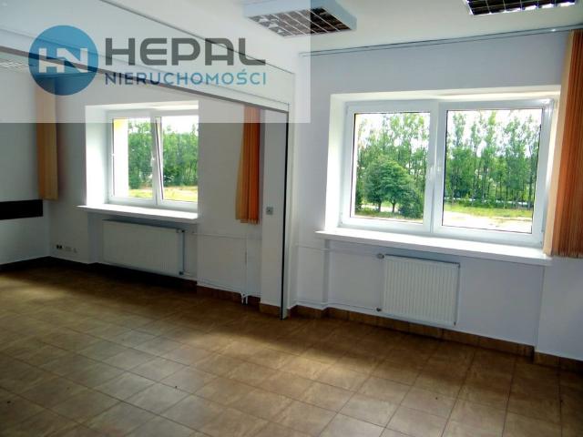 Komercyjne lokal na wynajem, Kielce, Centrum, Zagnańska