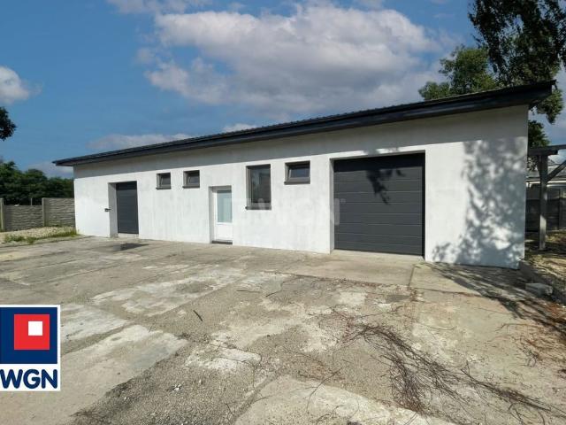 Komercyjne lokal na wynajem, Kraszewskiego
