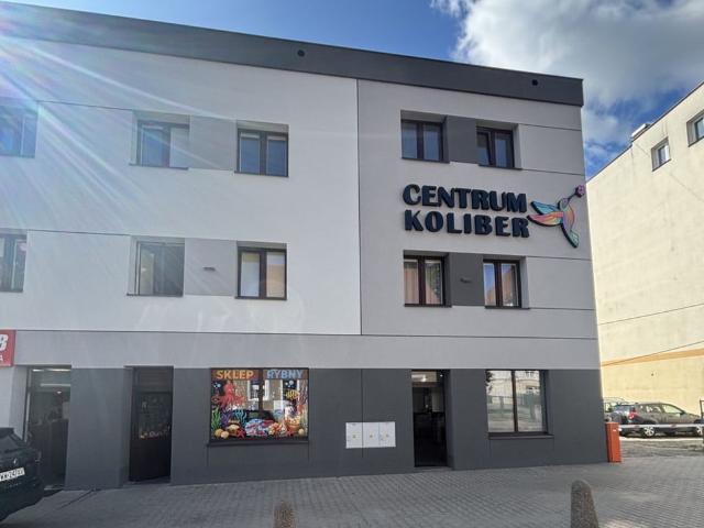 Komercyjne lokal na wynajem, Jadwigi