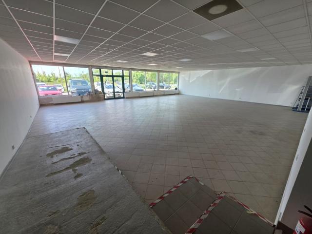Komercyjne lokal na wynajem, Łódź, Widzew