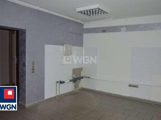 Komercyjne lokal na wynajem, Odrodzenia