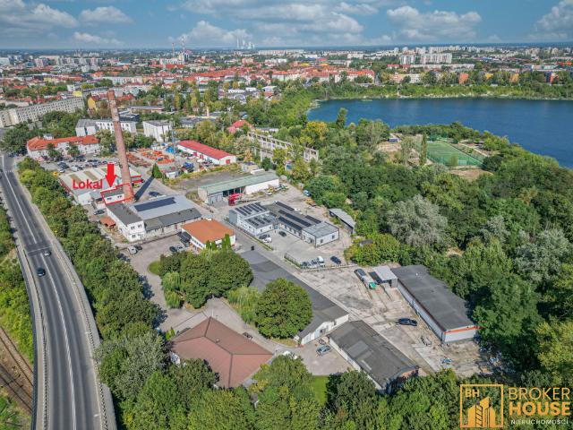 Komercyjne lokal na wynajem, Opole, Wapienna