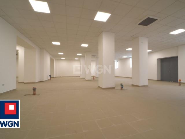 Komercyjne lokal na wynajem, Legnica, Najświętszej Marii Panny